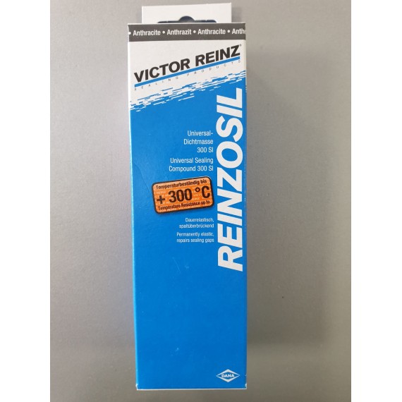 SILICON VICTOR REINZ